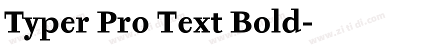 Typer Pro Text Bold字体转换